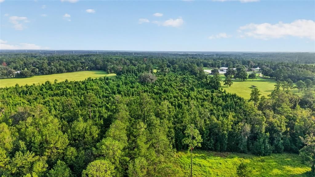 For Sale: $858,000 (31.20 acres)