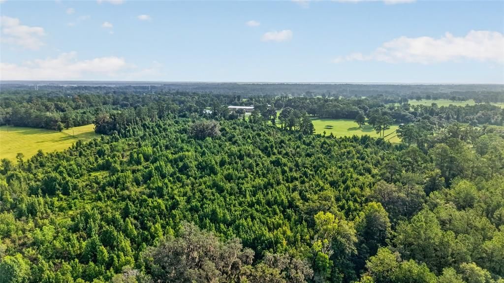 For Sale: $858,000 (31.20 acres)