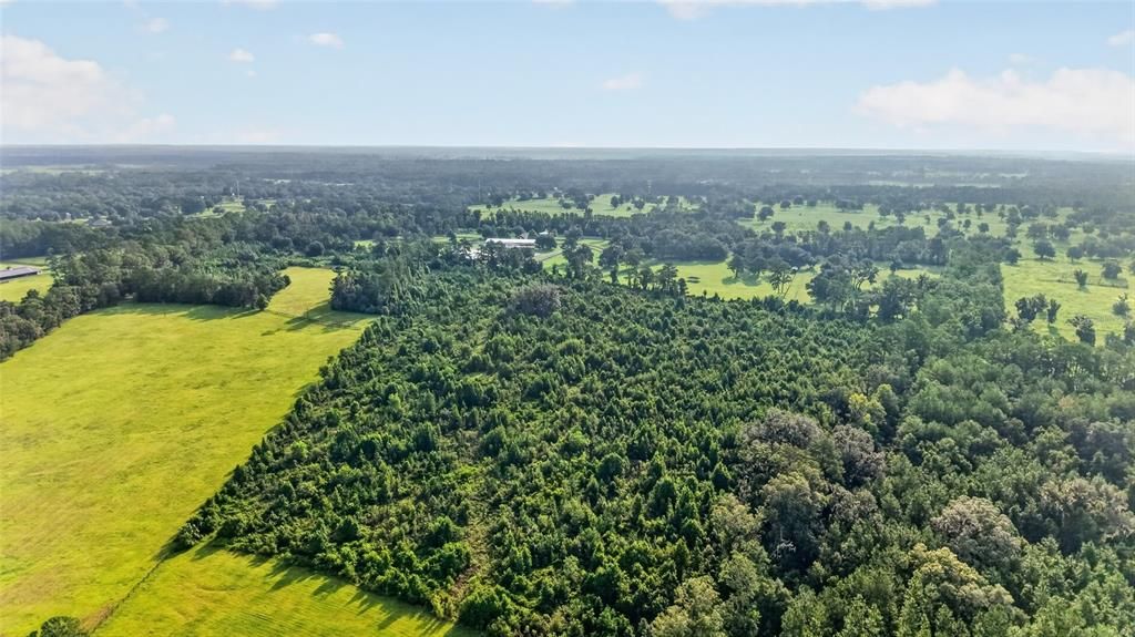 For Sale: $858,000 (31.20 acres)