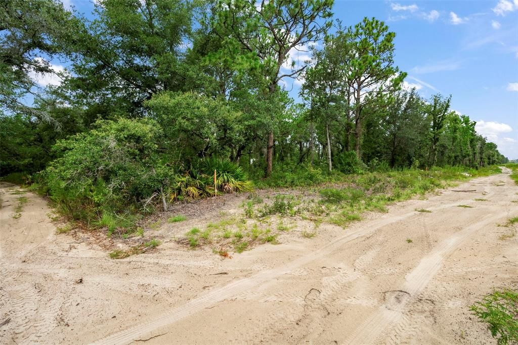 На продажу: $98,500 (1.05 acres)
