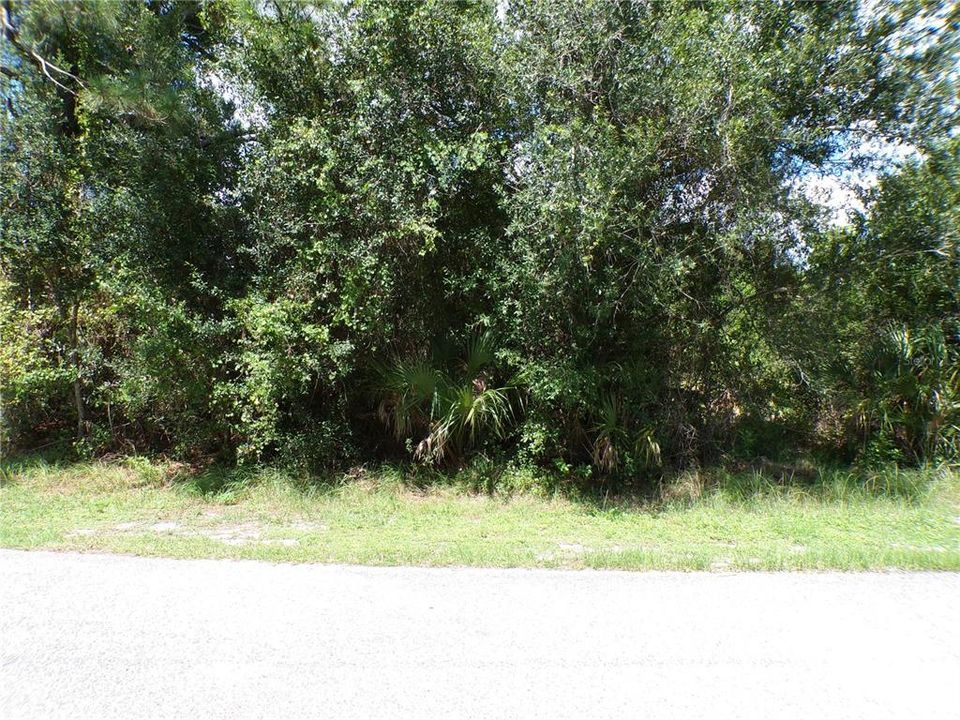 For Sale: $8,995 (0.25 acres)