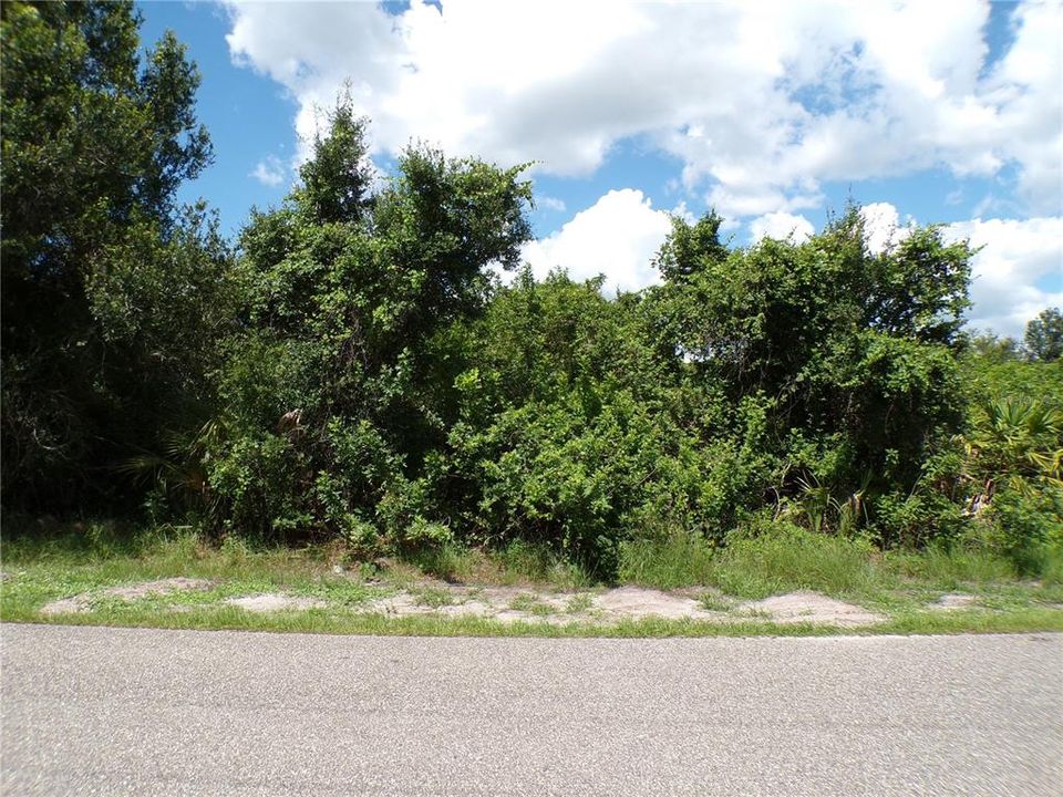 For Sale: $8,995 (0.25 acres)