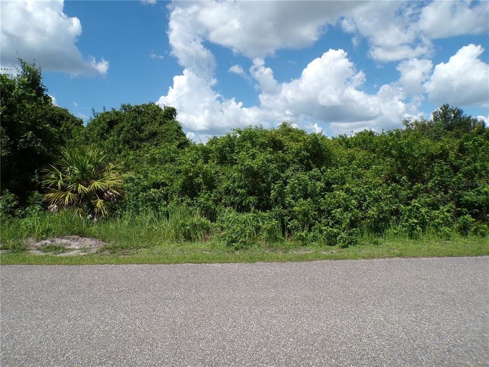 For Sale: $8,995 (0.25 acres)