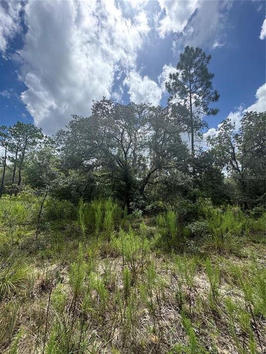 На продажу: $179,900 (12.50 acres)