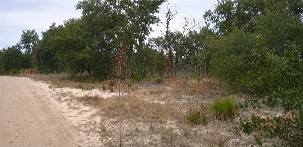 For Sale: $29,999 (1.25 acres)