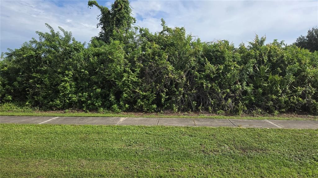 На продажу: $29,000 (0.23 acres)