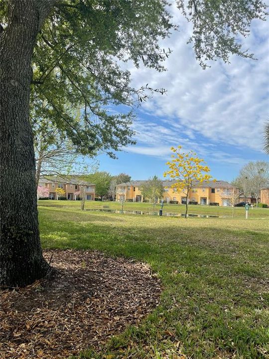 For Rent: $1,799 (3 beds, 2 baths, 1203 Square Feet)