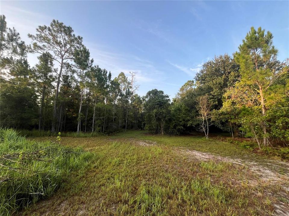 For Sale: $399,000 (4.10 acres)