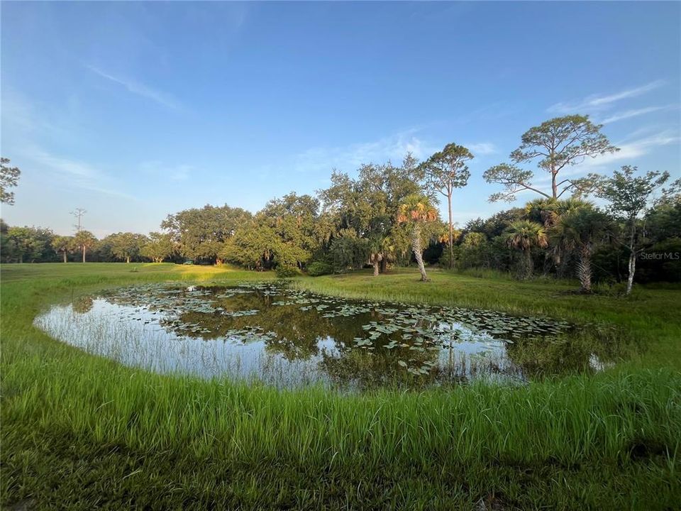 For Sale: $399,000 (4.10 acres)