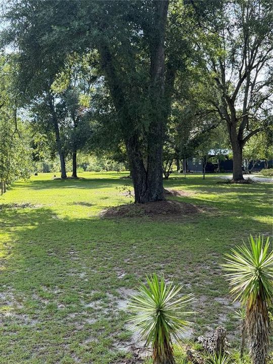 For Sale: $250,000 (3 beds, 2 baths, 1344 Square Feet)
