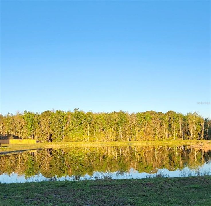 For Sale: $310,000 (4 beds, 2 baths, 1856 Square Feet)
