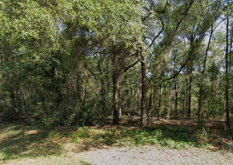 En Venta: $14,500 (0.25 acres)