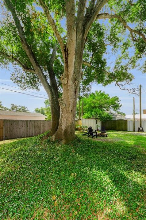 Activo con contrato: $585,000 (3 camas, 2 baños, 1682 Pies cuadrados)