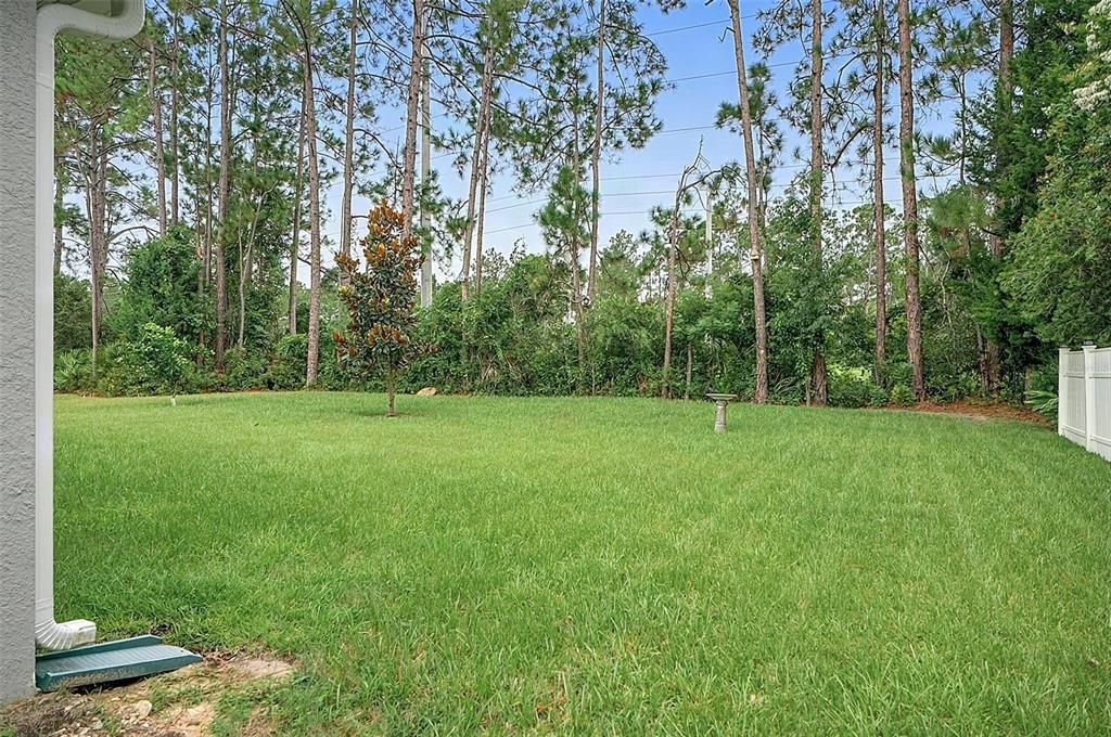 For Sale: $349,900 (4 beds, 2 baths, 1806 Square Feet)
