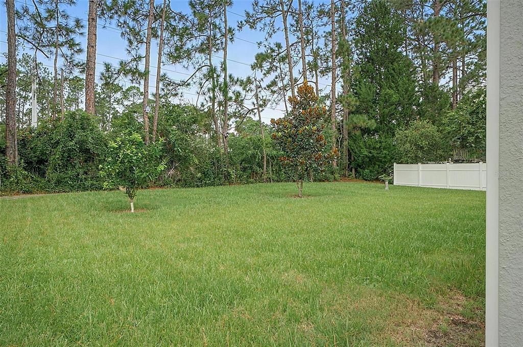 For Sale: $349,900 (4 beds, 2 baths, 1806 Square Feet)