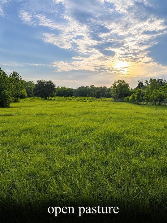 На продажу: $385,000 (3 спален, 2 ванн, 1428 Квадратных фут)