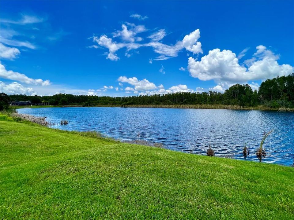 For Rent: $4,200 (4 beds, 3 baths, 3168 Square Feet)