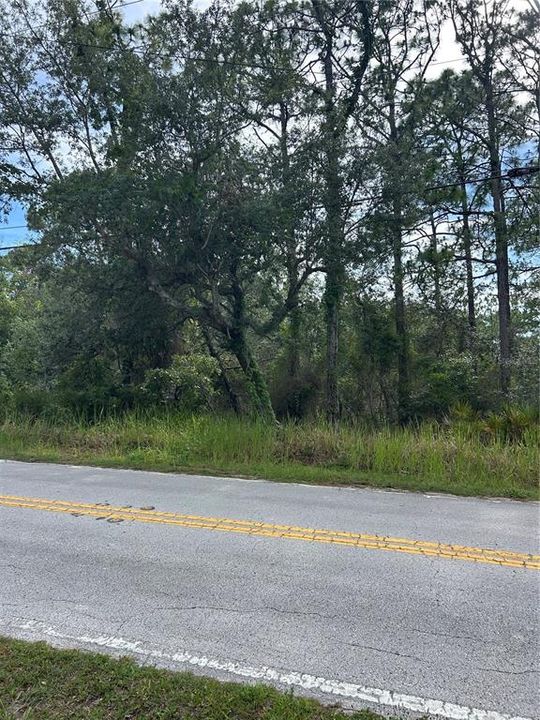 На продажу: $55,000 (0.46 acres)