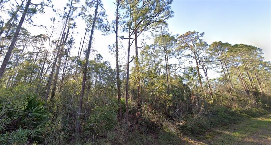 For Sale: $10,500 (0.22 acres)