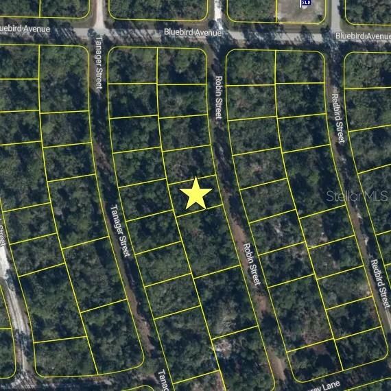 For Sale: $10,500 (0.22 acres)