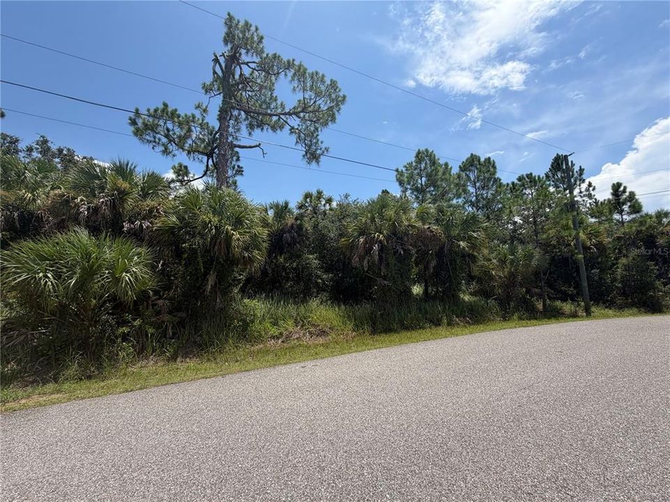 En Venta: $25,000 (0.35 acres)