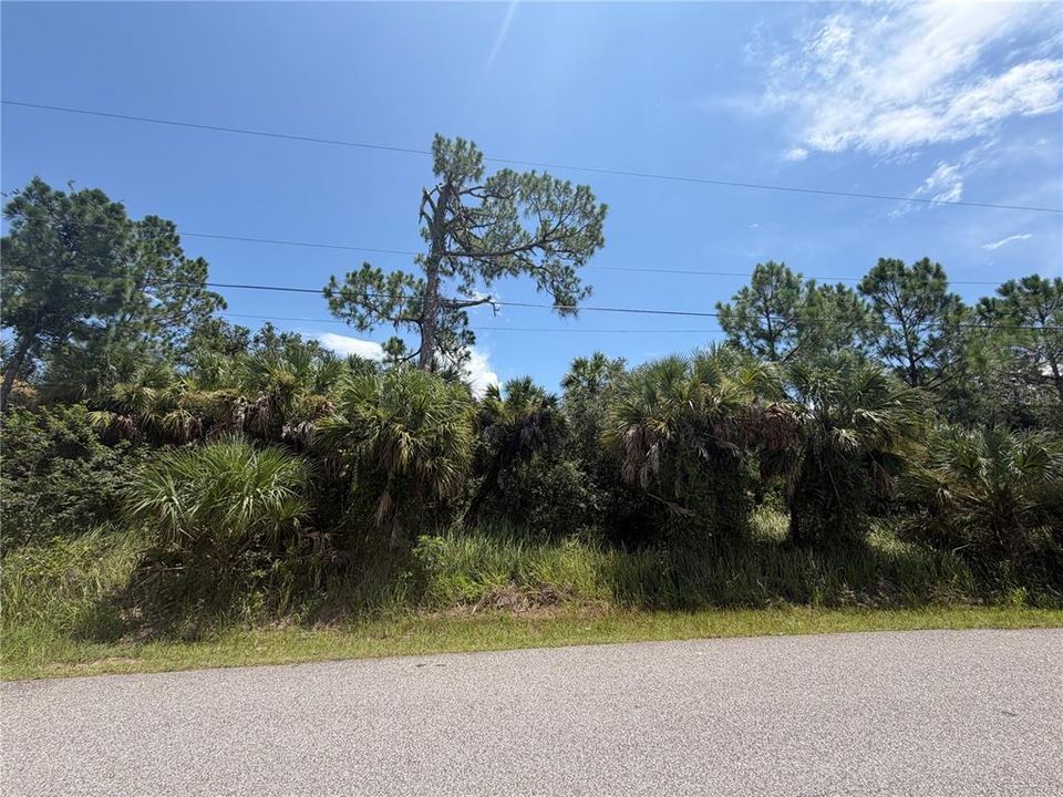 En Venta: $25,000 (0.35 acres)