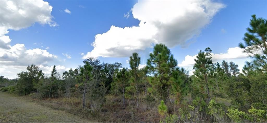 For Sale: $15,000 (0.50 acres)