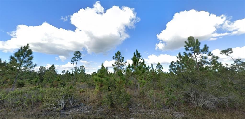 For Sale: $15,000 (0.50 acres)