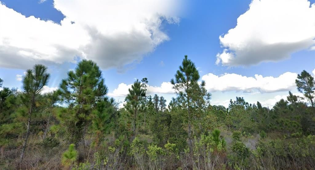 For Sale: $15,000 (0.50 acres)