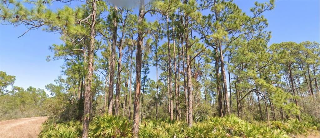 На продажу: $10,500 (0.23 acres)