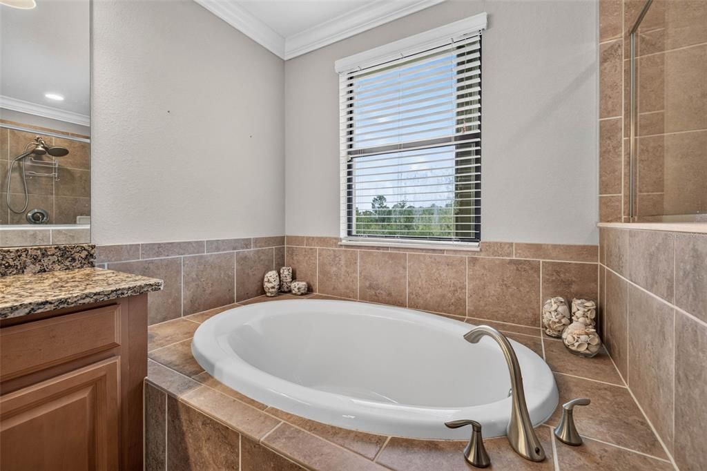 For Sale: $799,000 (6 beds, 4 baths, 3905 Square Feet)