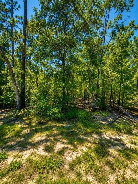 待售: $10,000 (0.20 acres)