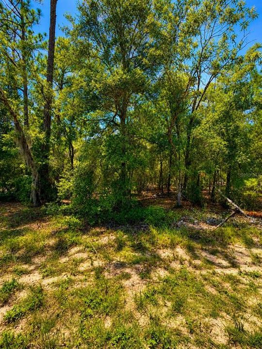待售: $10,000 (0.20 acres)