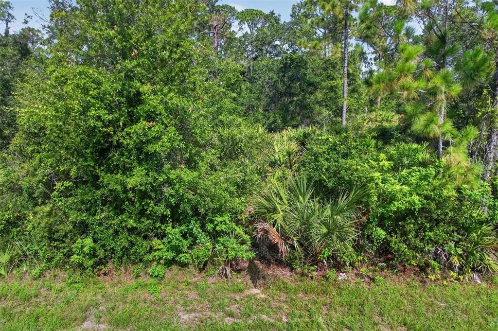 На продажу: $100,000 (0.23 acres)