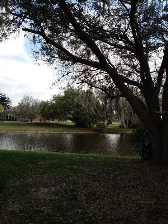 For Rent: $2,300 (4 beds, 3 baths, 2196 Square Feet)