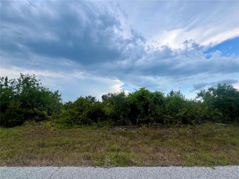 For Sale: $79,000 (0.24 acres)