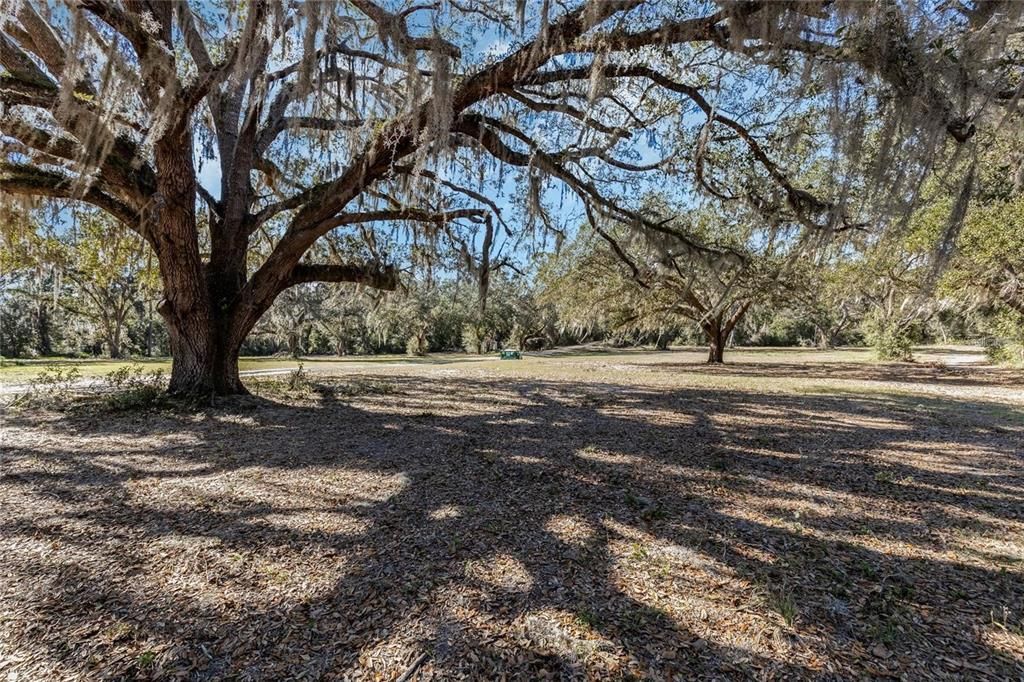 待售: $429,000 (10.72 acres)