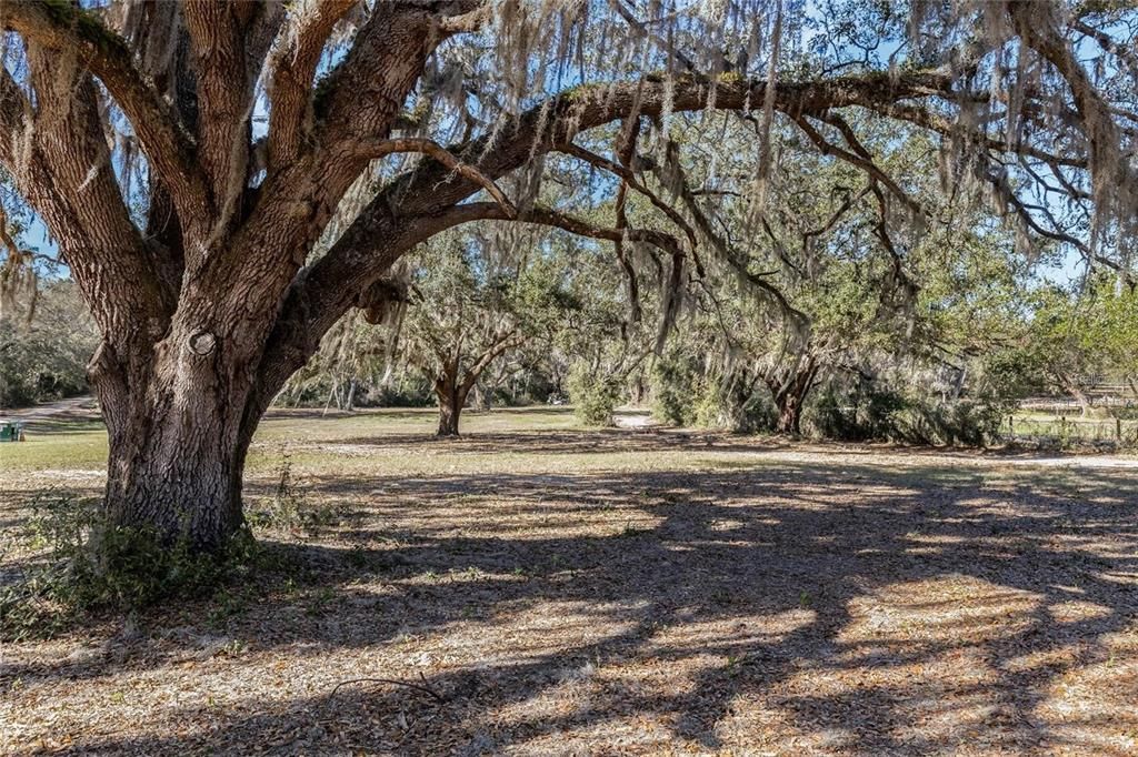 待售: $429,000 (10.72 acres)