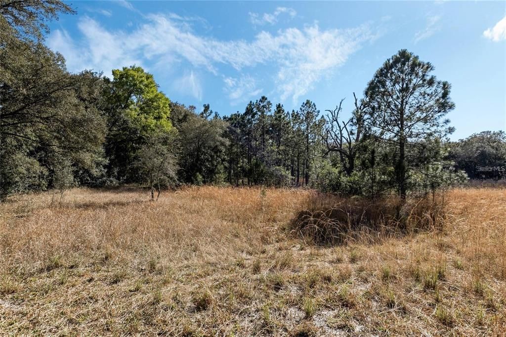 待售: $429,000 (10.72 acres)