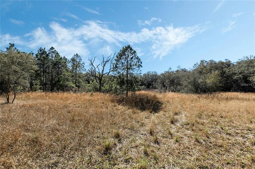 待售: $429,000 (10.72 acres)