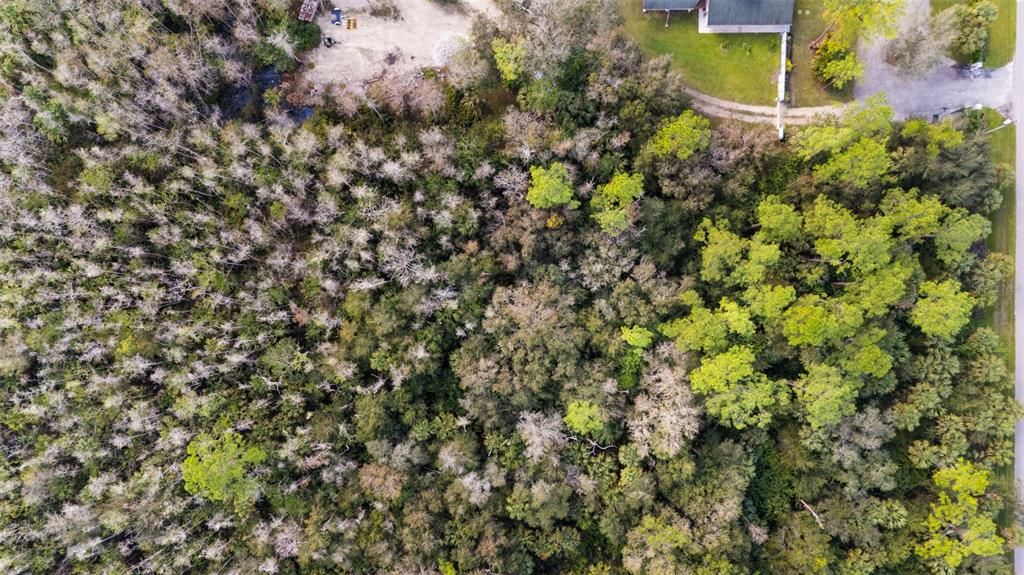For Sale: $95,900 (2.50 acres)