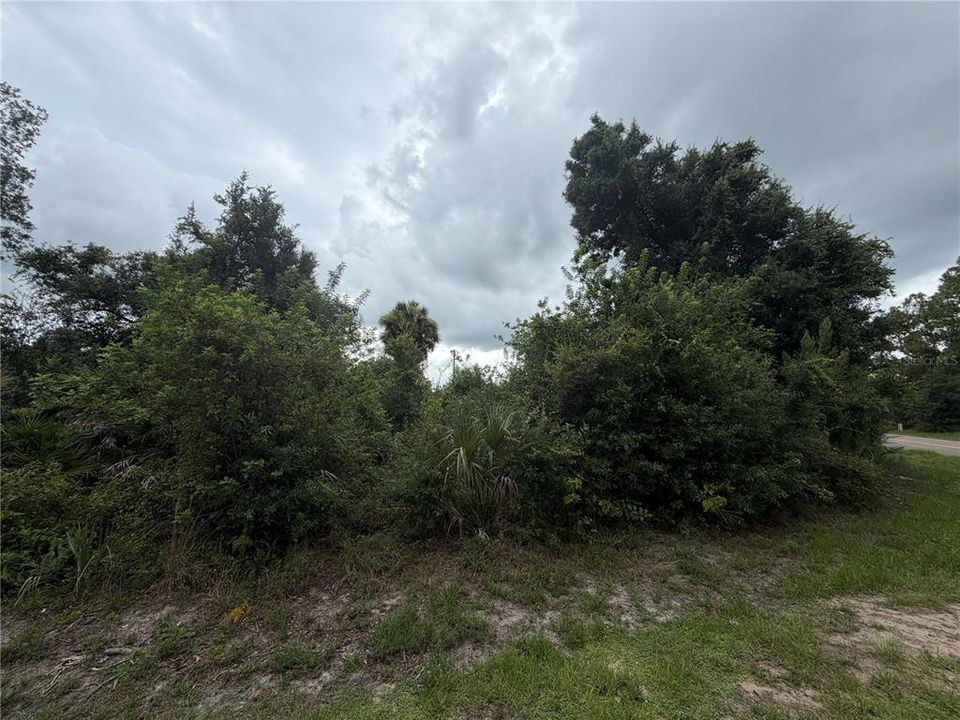 En Venta: $24,000 (0.31 acres)
