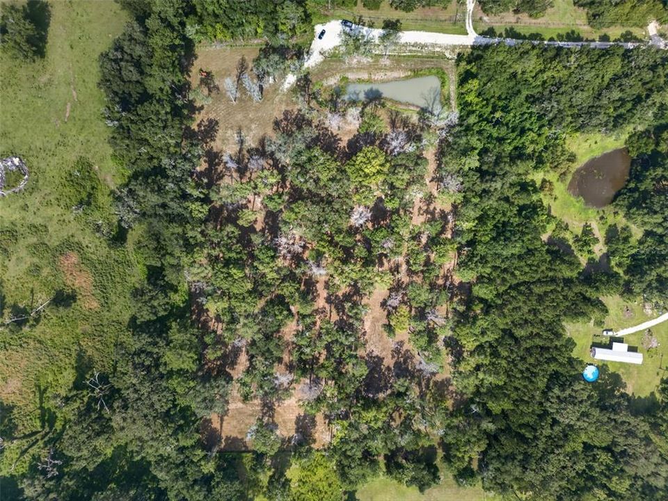 待售: $144,000 (3.18 acres)