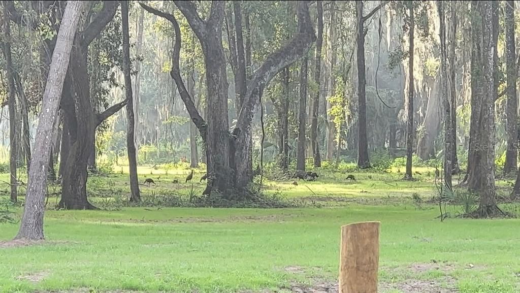 待售: $144,000 (3.18 acres)