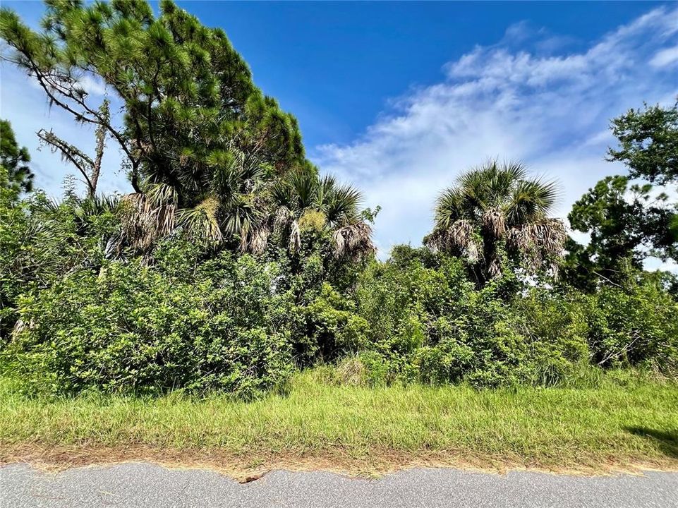 На продажу: $17,900 (0.23 acres)