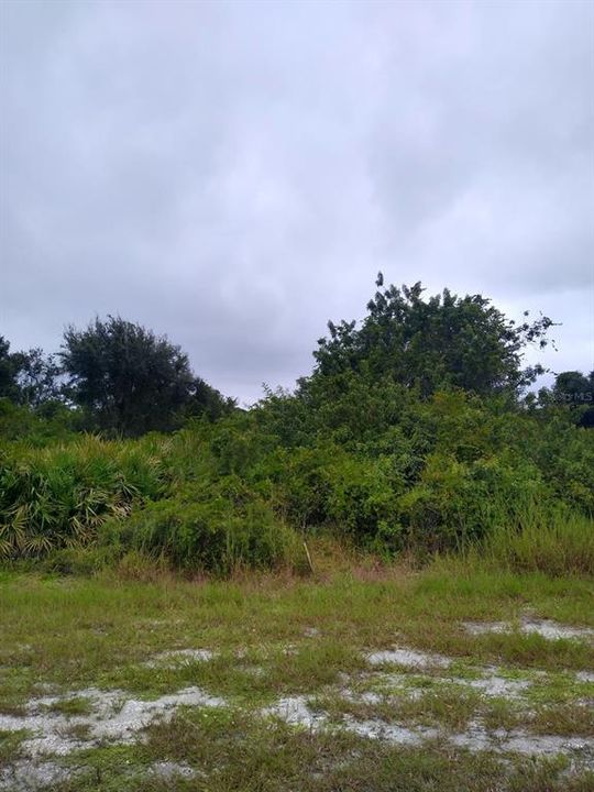 En Venta: $25,000 (0.23 acres)