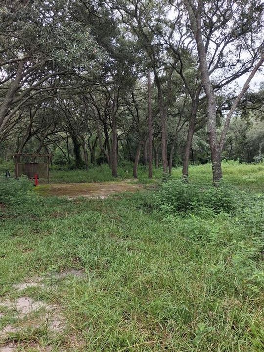 For Sale: $54,900 (1.25 acres)