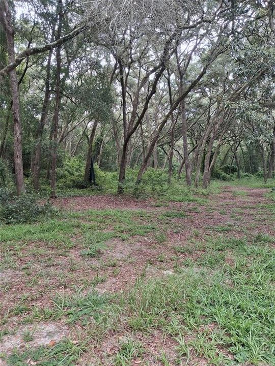 For Sale: $54,900 (1.25 acres)
