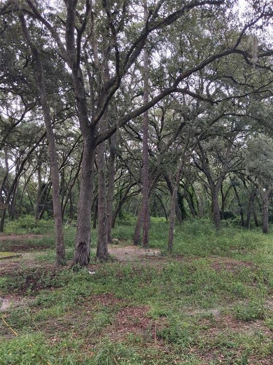 For Sale: $54,900 (1.25 acres)