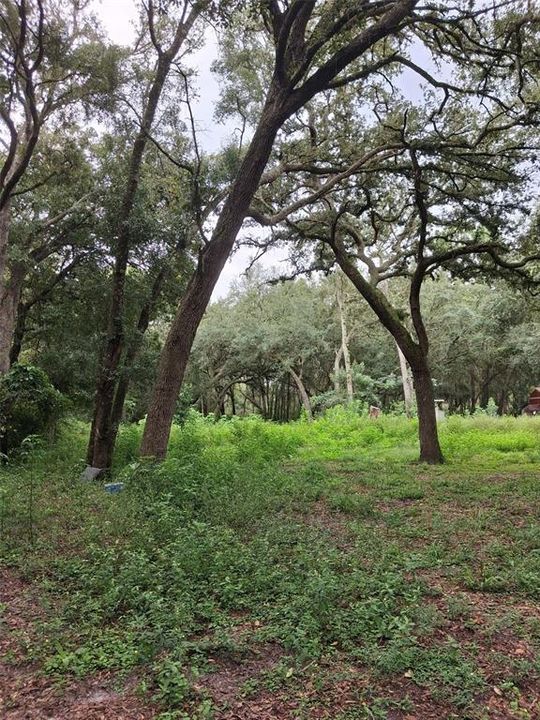 For Sale: $54,900 (1.25 acres)
